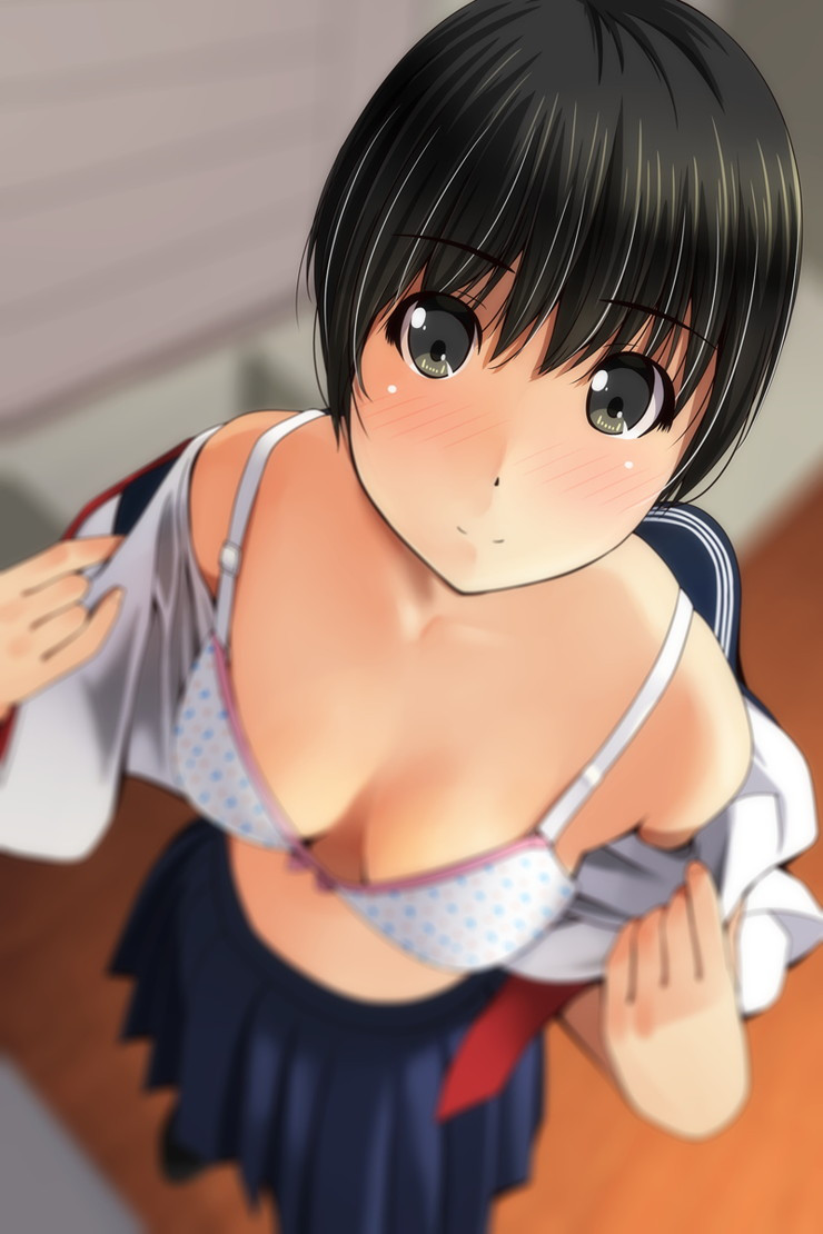 2次元の着衣脱ぎかけ画像(Part3)